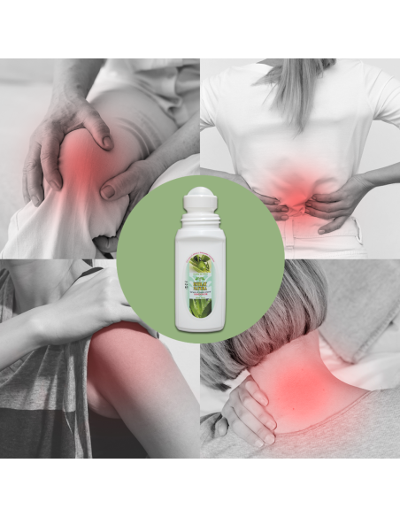 SINDOL Gel Roll-On | Alivio Rápido para Dolor Muscular y Articular