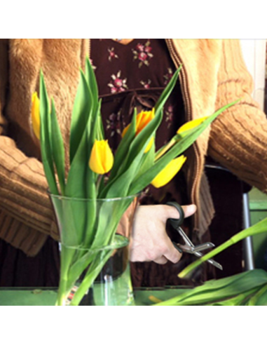 Tijeras Multifunción Profesionales Katana | Cortan de Todo