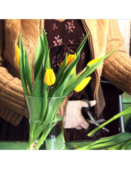 Tijeras Multifunción Profesionales Katana | Cortan de Todo